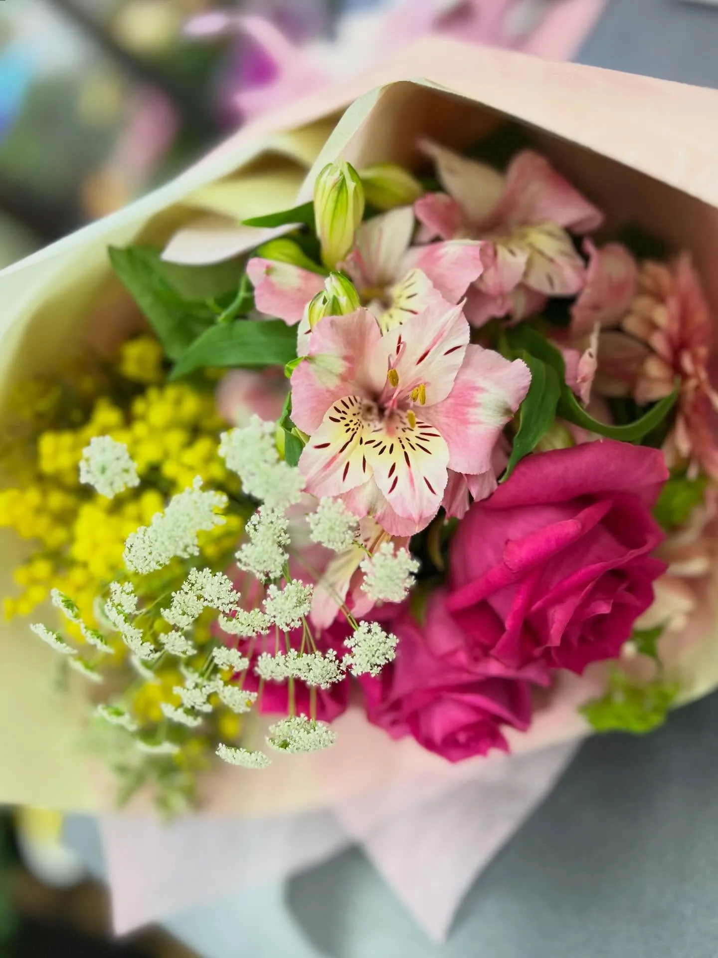 古希のお祝＊卒園祝い＊卒業祝い＊お誕生日プレゼント*:＊.·...