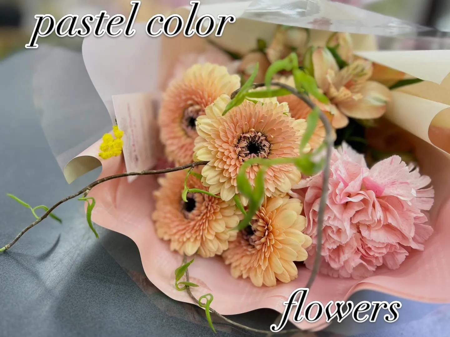 お彼岸も開けてすっかり春日和🌷🌸