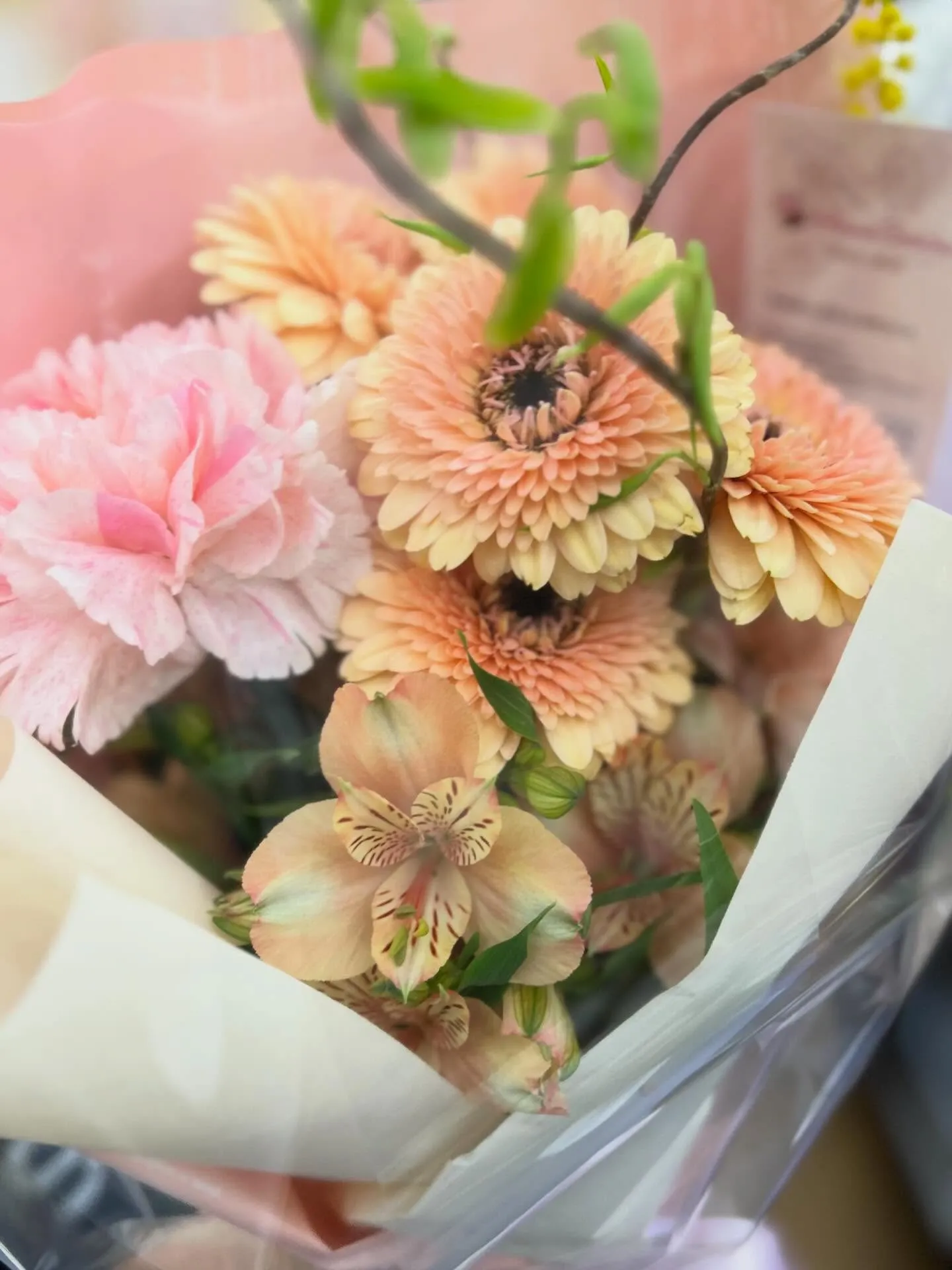 お彼岸も開けてすっかり春日和🌷🌸