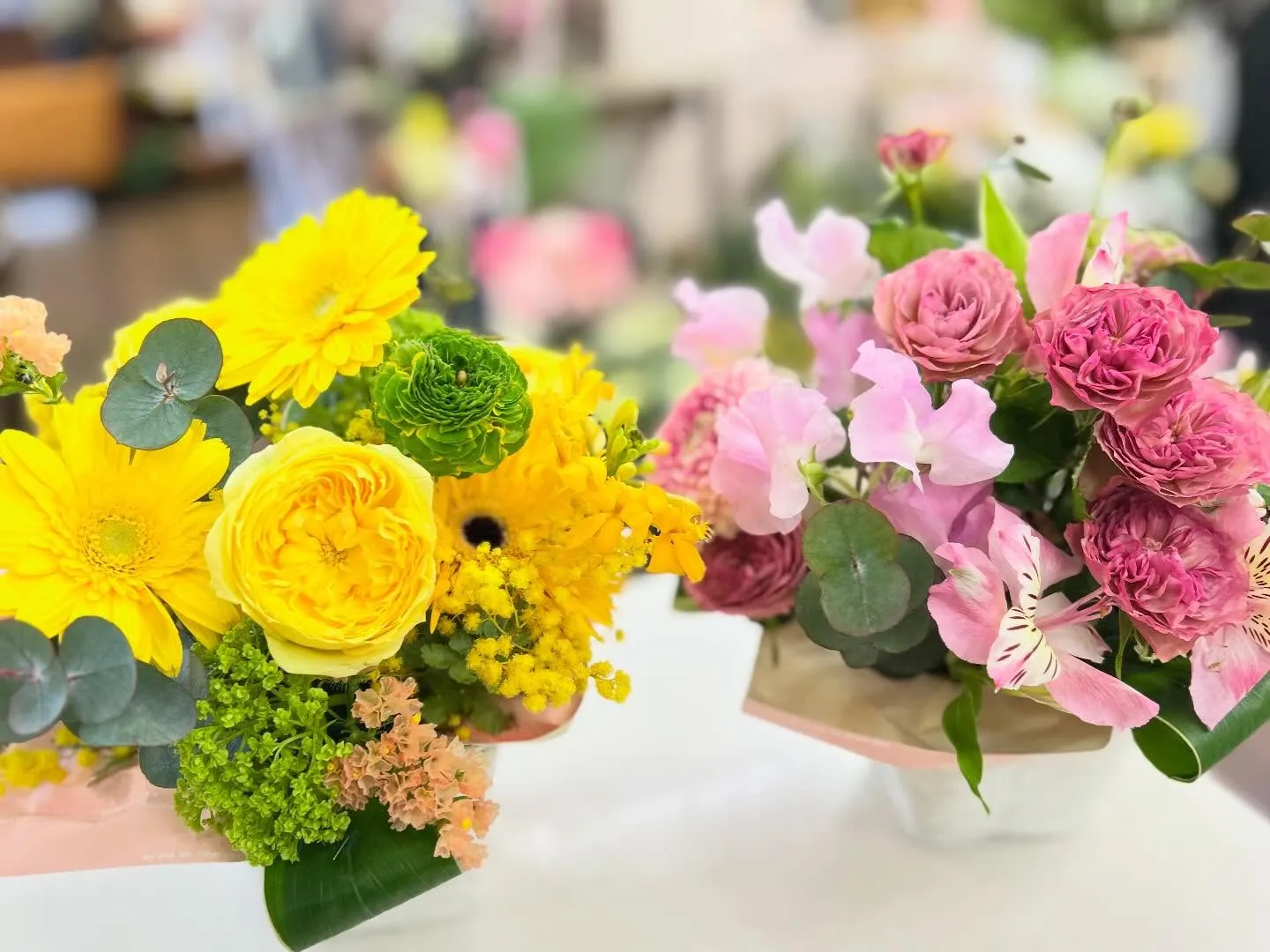 お彼岸も開けてすっかり春日和🌷🌸