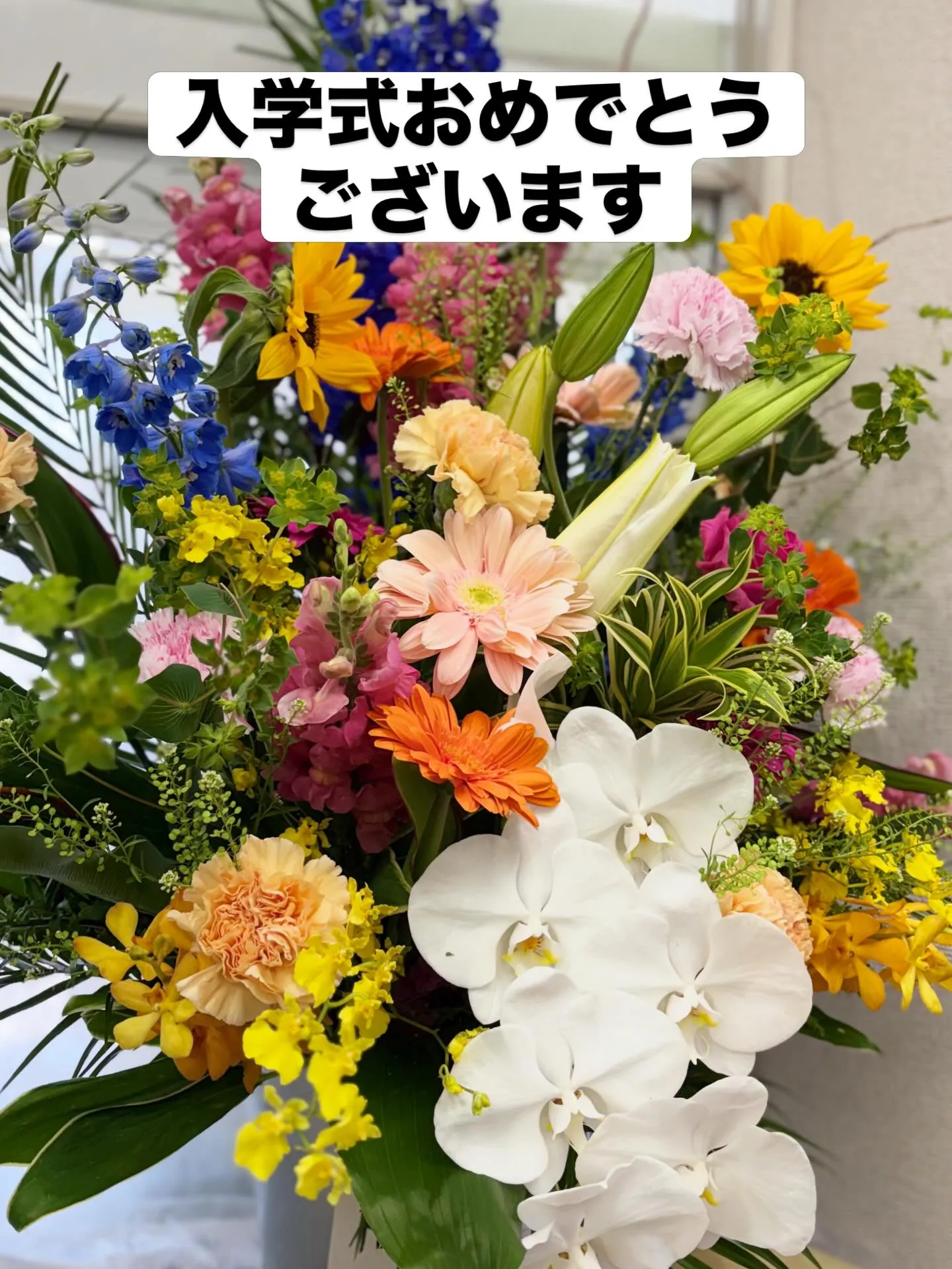 昨日今日と郡市の小中学校  義務教育学校の入学式*:＊.·°...
