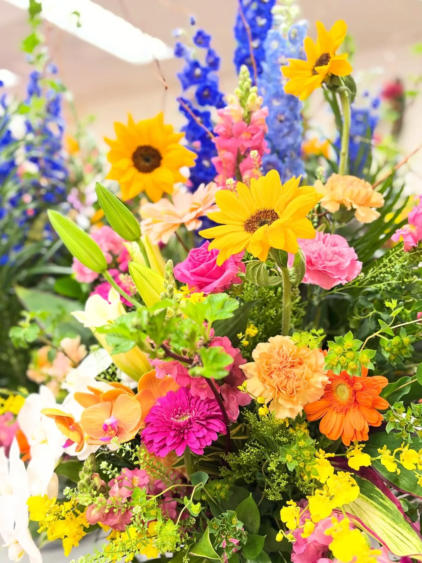 昨日今日と郡市の小中学校  義務教育学校の入学式*:＊.·°...