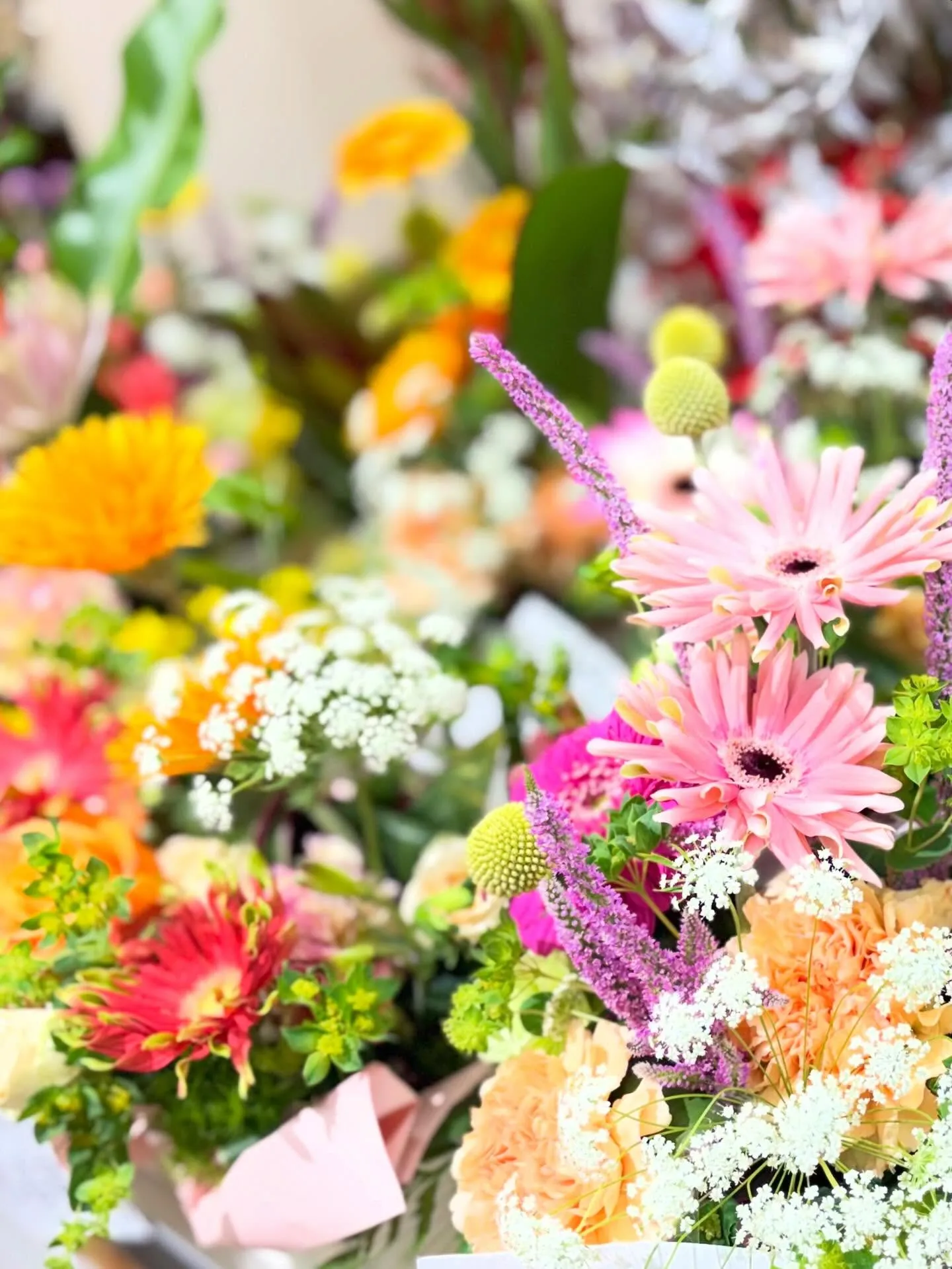 昨日今日と郡市の小中学校  義務教育学校の入学式*:＊.·°...