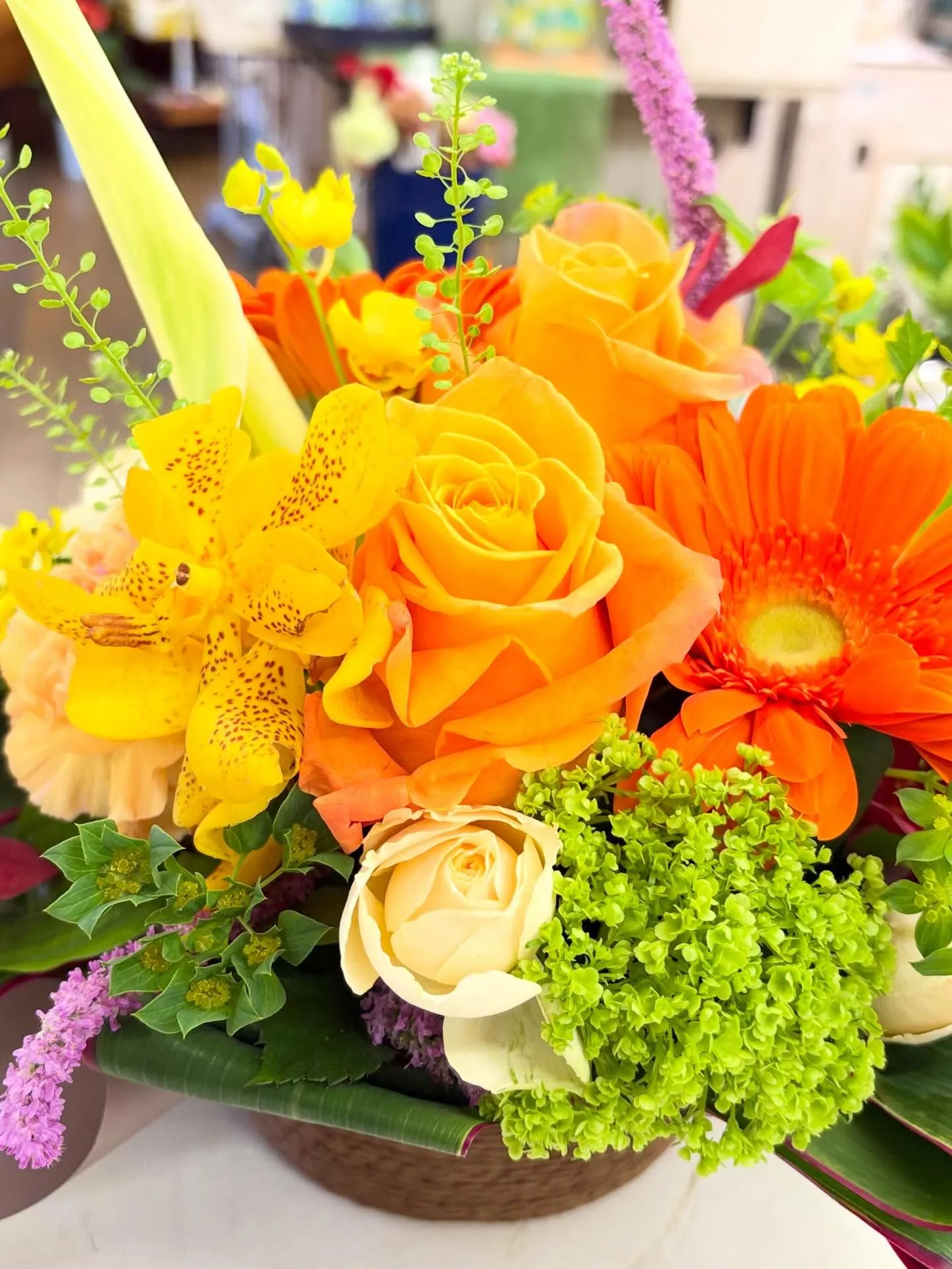 昨日今日と郡市の小中学校  義務教育学校の入学式*:＊.·°...