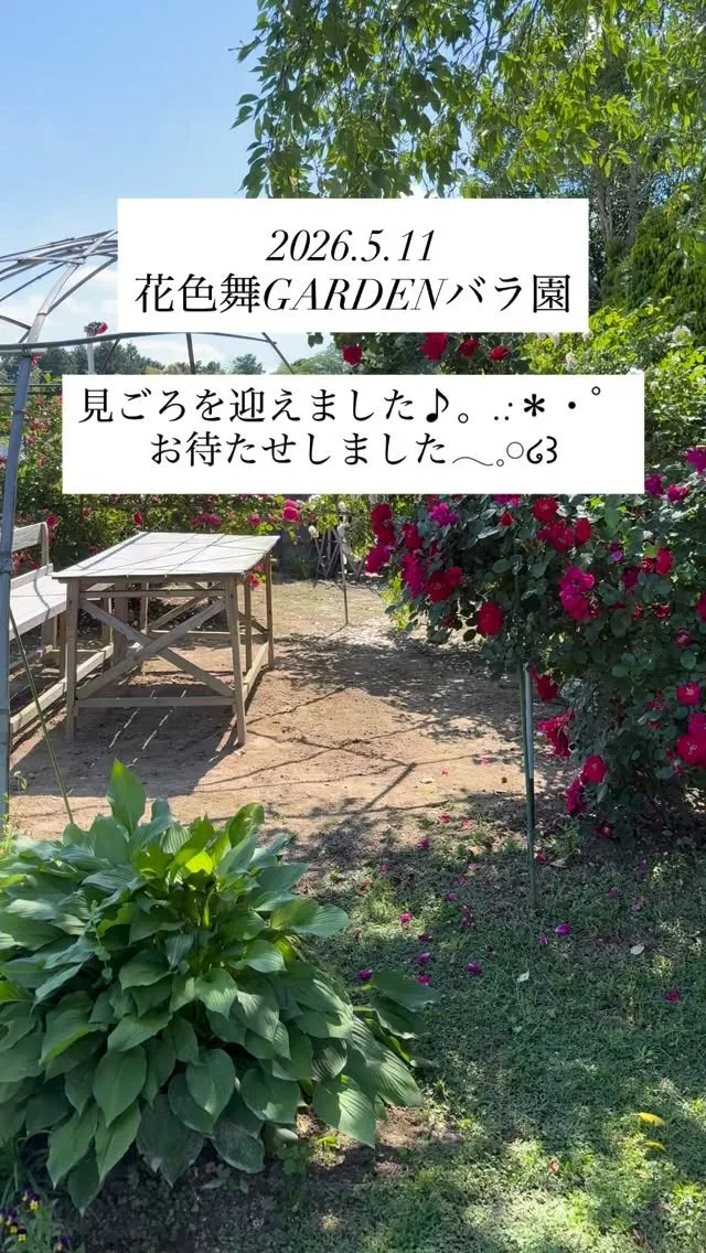 すでにたくさんの方々においでいただいているようです